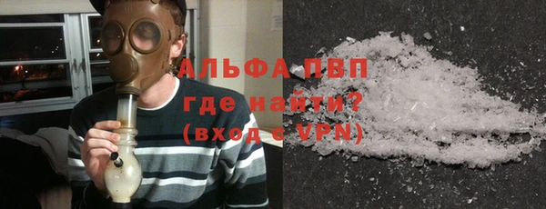 ECSTASY Горняк