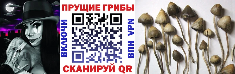 Купить где  Лихославль  Псилоцибиновые грибы ЛСД 
